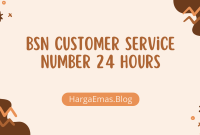 BSN Customer Service Number 24 Hours